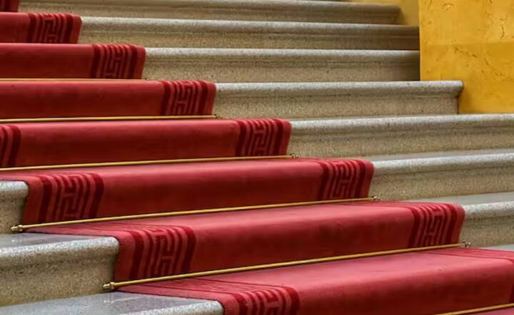 ਰੈੱਡ ਕਾਰਪੇਟ ਦੇ ਇਤਿਹਾਸ ਬਾਰੇ ਗੱਲ ਕਰੀਏ ਤਾਂ ਇਸ ਦੀ ਵਰਤੋਂ ਪ੍ਰਾਚੀਨ ਯੂਨਾਨ ਅਤੇ ਰੋਮਨ ਸਭਿਅਤਾਵਾਂ ਵਿੱਚ ਦੇਖੀ ਜਾ ਸਕਦੀ ਹੈ। ਯੂਨਾਨੀ ਨਾਟਕ ਏਗਾਮੇਮਨਨ ਵਿੱਚ ਰਾਜਾ ਏਗਾਮੇਮਨਨ ਦਾ ਸਵਾਗਤ ਲਾਲ ਕਾਰਪੇਟ 'ਤੇ ਕੀਤਾ ਗਿਆ ਸੀ। ਜੋ ਉਸ ਸਮੇਂ ਸ਼ਾਹੀ ਸਤਿਕਾਰ ਦਾ ਪ੍ਰਤੀਕ ਸੀ।