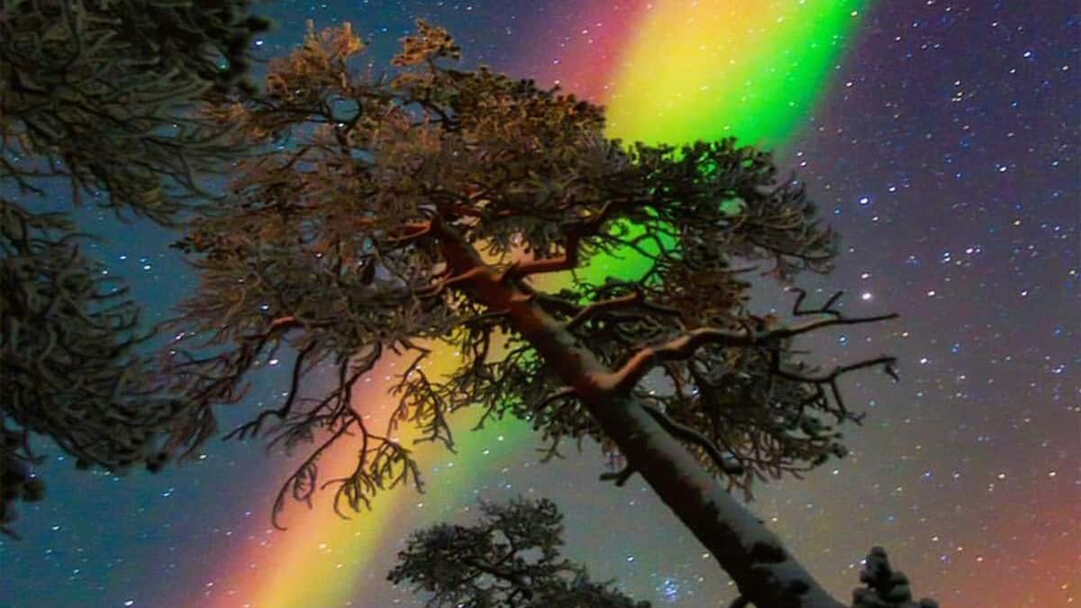 (Image Source: Twitter/@B_Ubiquitous)