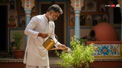 Tulsi Niyam: तुलसी जलाना सही या गलत! शास्त्रीय संदर्भ से जानें इसका जवाब