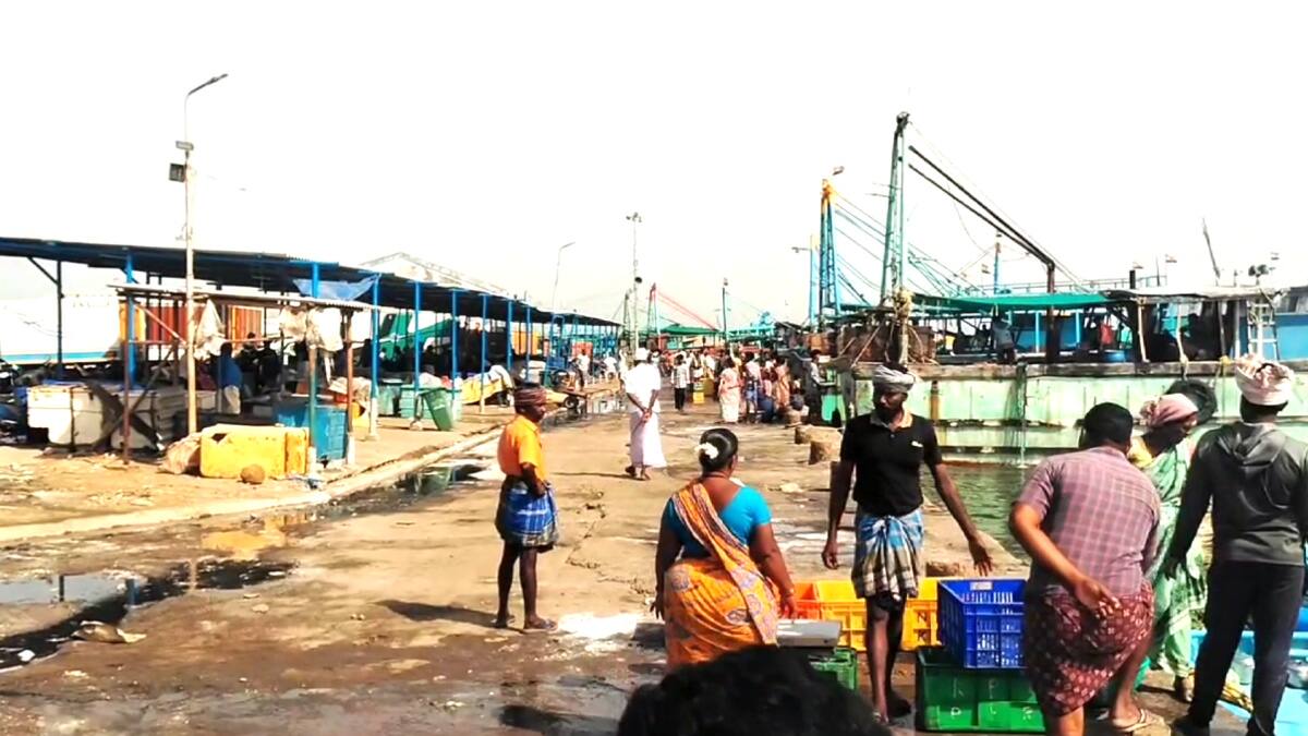 பழையாறு மீனவர்களுக்கு அடித்த ஜாக்பாட்! - வலையில் சிக்கிய ராட்சத சுறா....!