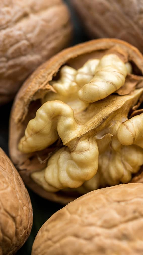 வால்நட் யாரெல்லாம் சாப்பிடக்கூடாது? தெரிஞ்சுக்கோங்க