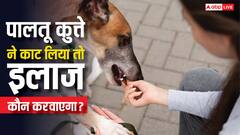 आपका पालतू कुत्ता किसी को काट ले तो क्या होगा, किसे उठाना होगा पीड़ित के इलाज का खर्च?
