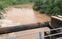 ਸੁਖਨਾ ਝੀਲ ‘ਚ ਵਧਿਆ ਪਾਣੀ ਦਾ ਪੱਧਰ, ਫਲੱਡ ਗੇਟ ਖੋਲ੍ਹੇ, ਘੱਗਰ ਨਦੀ ਵਿੱਚ ਛੱਡਿਆ ਜਾ ਰਿਹਾ ਹੈ ਪਾਣੀ, ਚੰਡੀਗੜ੍ਹ ਵਿੱਚ ਮੀਂਹ ਦੀ ਚੇਤਾਵਨੀ ਜਾਰੀ