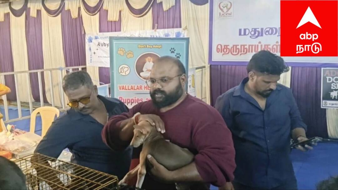 Dog Adoption: இதுக்கு ஜாக்கினு பேர் வைக்க போறேன்.. நாய்கள் தத்தெடுப்பு முகாமில் சிறுவன் செய்த நெகிழ்ச்சி சம்பவம் !
