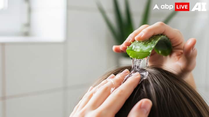 3. Aloe Vera Gel Application: Aloe Vera is loaded with antimicrobial properties which naturally soothes the scalp. Applying fresh aloe vera gel directly to your scalp can calm down irritation and reduces fungal activity that causes dandruff. Leave it on for 30 minutes before rinsing. It has a cooling effect that reduces inflammation. Regular use not only fights dandruff but also makes your hair softer and shinier. (Image Source: ABPLIVE AI)