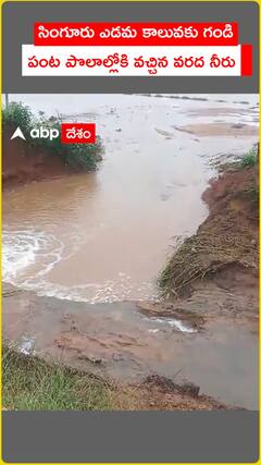 Flood water enters crop fields in Singur left canal