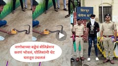 VIDEO : धुळ्यातील तरुणाला नागोबाच्या बड्डेचं सेलिब्रेशन करणं भोवलं, वनविभागानं फणा काढला, थेट ताब्यात घेतलं