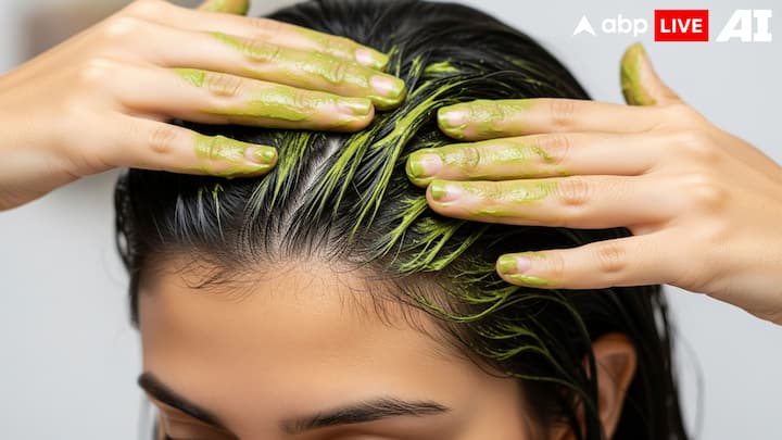 8. Neem Leaf Treatment: Neem leaves have powerful antibacterial and antifungal properties that effectively fight dandruff. Boil a handful of neem leaves in water, cool it, and use it as a final rinse. You can also simply grind the leaves into a paste and apply it directly to the scalp. Neem not only reduces dandruff but also soothes scalp irritation and prevents infections. (Image Source: ABPLIVE AI)
