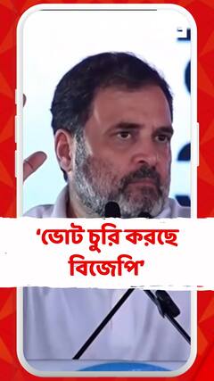 'একটি বিধানসভায় ১ লক্ষের বেশি ভোট চুরি করেছে বিজেপি', বললেন রাহুল