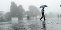 Gujarat Rain: એક અઠવાડિયું ભારે વરસાદ, એકસાથે પાંચ સિસ્ટમ સક્રિય થતાં આકાશી આફતનો ખતરોઃ હવામન વિભાગનું એલર્ટ