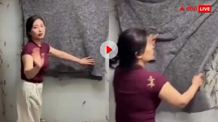 चादर हटी दुर्घटना घटी! काली चादर हटते ही रेंगने लगीं हजारों छिपकलियां, वीडियो देख कांप जाएंगे आ