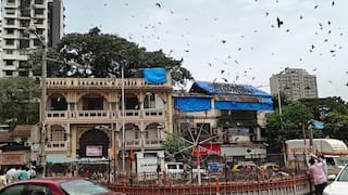 Dadar Kabutar khana: दादरमध्ये जैन समाजाकडून मृत कबुतरांच्या आत्म्याच्या शांतीसाठी प्रार्थना सभेचं आयोजन