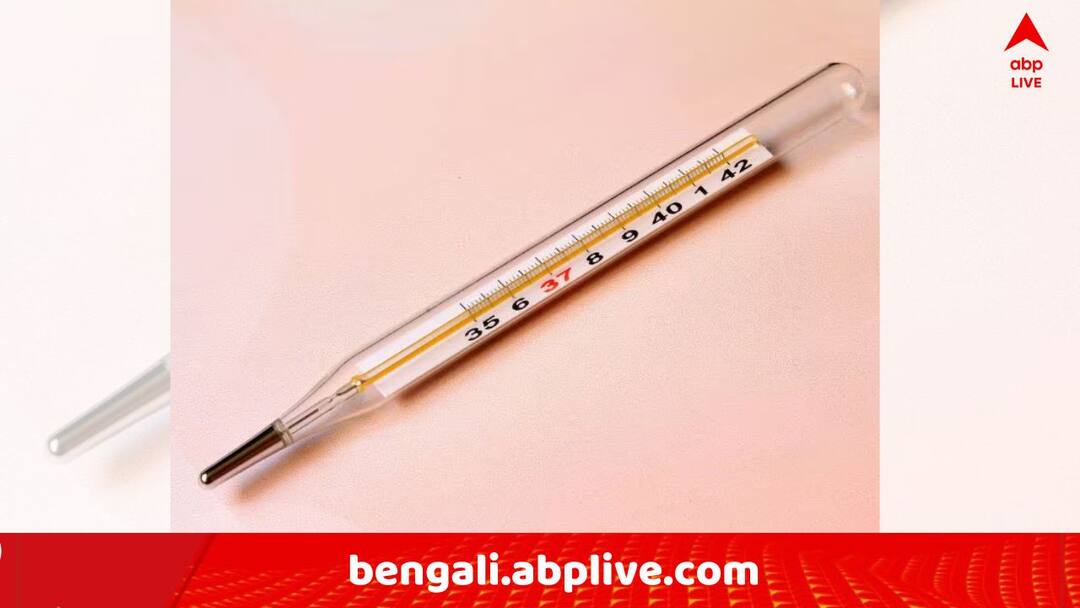 Jalpaiguri News: 'কাঁপুনি দিয়ে জ্বর, শরীর থেকে রক্তপাত..', জলপাইগুড়ির রাজগঞ্জে ৭০ জনের লেপ্টোস্পাইরোসিস ! Jalpaiguri Leptospirosis spread out 70 new case positive Jalpaiguri News: 'কাঁপুনি দিয়ে জ্বর, শরীর থেকে রক্তপাত..', জলপাইগুড়ির রাজগঞ্জে ৭০ জনের লেপ্টোস্পাইরোসিস !