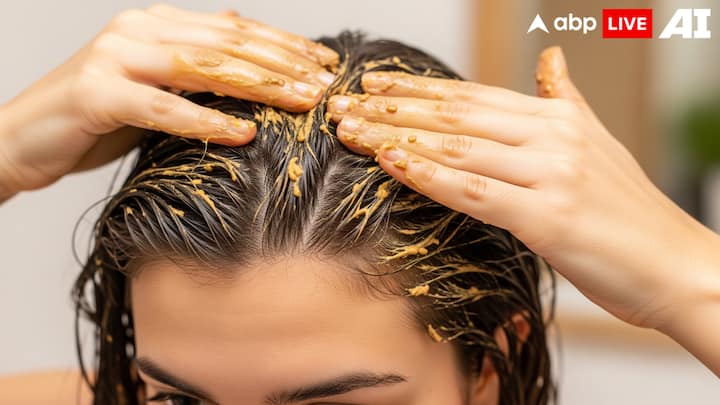 6. Fenugreek Seed Paste: Fenugreek seeds are rich in protein and nicotine acid, which promotes the scalp's health. Soak two tablespoons of seeds overnight, grind them into a paste, and apply it to your scalp. Leave it on for 30 minutes before washing with mild shampoo. This remedy reduces dandruff. strengthens roots, and prevents hair fall. (Image Source: ABPLIVE AI)