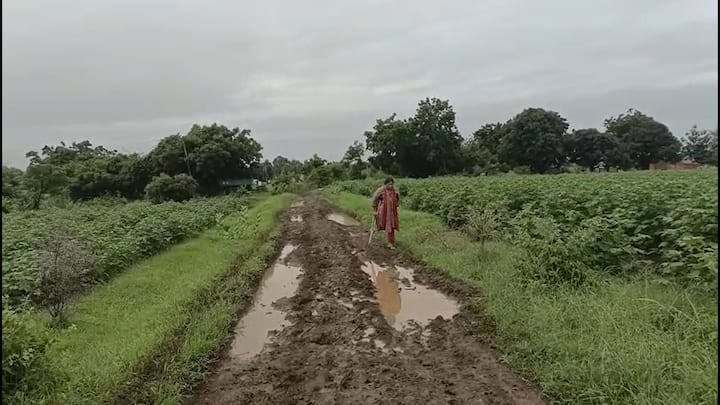 राज्यभरात पावसाचा जोर वाढतांना दिसतो आहे. अशातच पावसाळ्यात ग्रामीण भागात रस्ते नसल्याने अनेक ठिकाणी गावकऱ्यांना प्रचंड समस्यांना सामोरे जाव लागतंय.