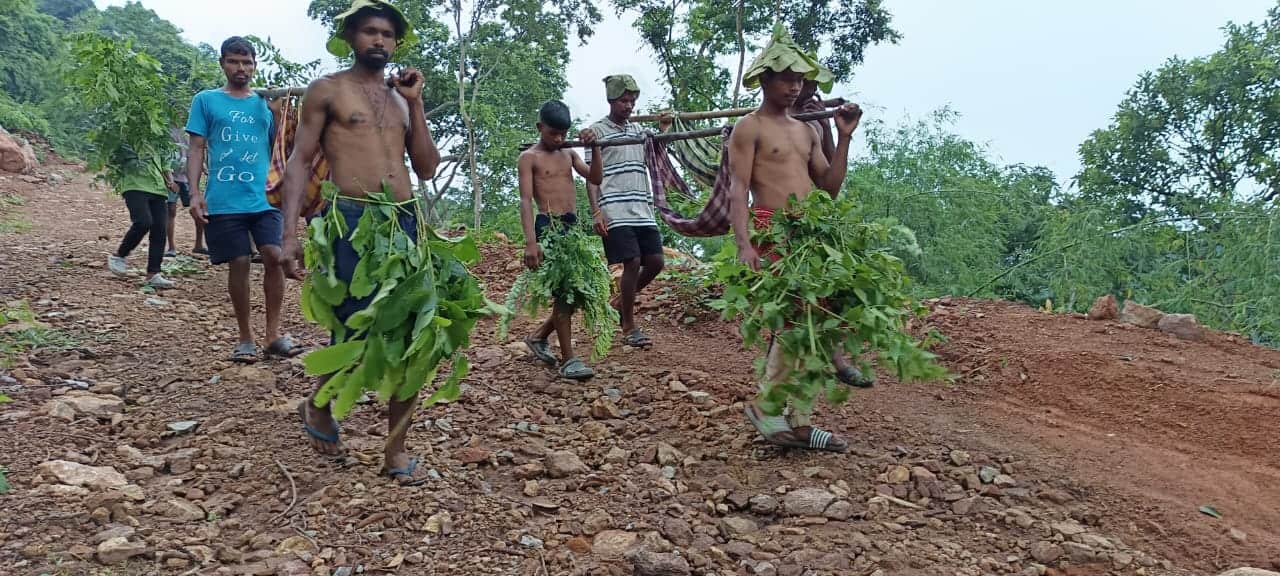 Kumaram Bheem Asifabad Latest News: కుమ్రం భీమ్‌ ఆసిఫాబాద్‌ జిల్లాలో జీవో నంబర్ 49కు వ్యతిరేకంగా పోరు తీవ్రం- నిరాహార దీక్ష ప్రారంభించిన సిర్పూర్ ఎమ్మెల్యే హరీష్ 