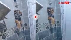 बाथरूम में नहा रहा था शख्स, तभी खिड़की से मौत ने दे दी दस्तक! वीडियो देख कांप जाएगी रूह