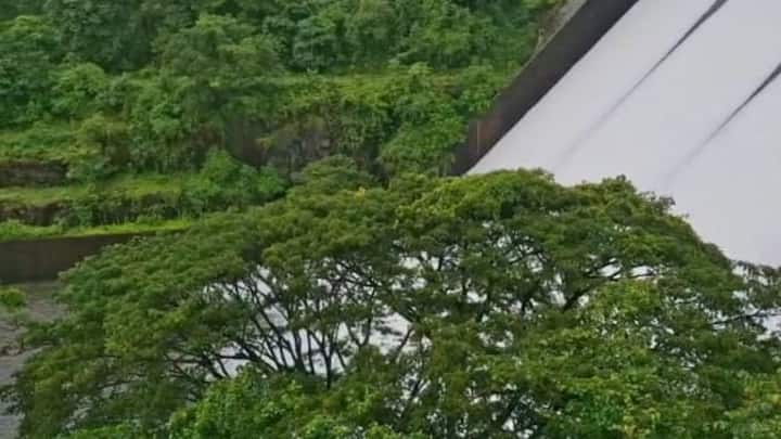 सांगली जिल्ह्यातील धरणे जवळपास 90 टक्के भरली आहेत.