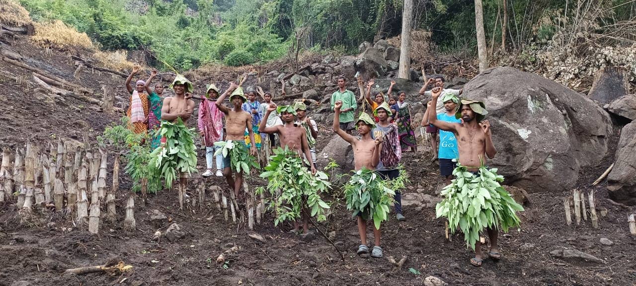 Kumaram Bheem Asifabad Latest News: కుమ్రం భీమ్‌ ఆసిఫాబాద్‌ జిల్లాలో జీవో నంబర్ 49కు వ్యతిరేకంగా పోరు తీవ్రం- నిరాహార దీక్ష ప్రారంభించిన సిర్పూర్ ఎమ్మెల్యే హరీష్ 