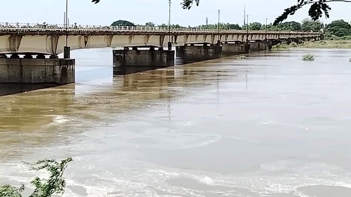 இருளில் மூழ்கிய கொள்ளிடம் பாலம் - உயிரை கையில் பிடித்துக் கொண்டு செல்லும் வாகன ஓட்டிகள்.. கண்டுகொள்ளாத அரசு..!