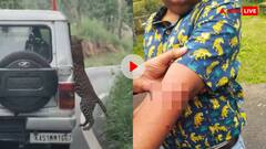 जंगल से गुजर रहे हाईवे पर अचानक आया पैंथर, कार में बैठे बच्चे पर किया हमला- वीडियो वायरल