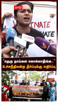 “தெரு நாய்கள கொல்லாதீங்க..” உச்சநீதிமன்ற தீர்ப்புக்கு எதிர்ப்பு! : Justice For Dogs
