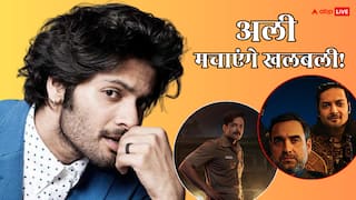 इन 2 सीरीज से 2026 में भौकाल मचाएंगे अली फजल, 'मिर्जापुर' ही नहीं, सनी देओल की फिल्म से भी करेंगे बमफाड़ कमाई