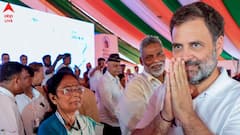 'শুধু আমাকেই চাওয়া হচ্ছে, BJP-কেও কেন নয় ?' হলফনামা দাবি ঘিরে পাল্টা কমিশনকে প্রশ্ন রাহুলের