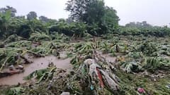 मुंबई ते मराठवाडा... जिकडे तिकडे पाणीच पाणी, धबधबा वाहिला तर कुठं अख्खं पीक पाण्यात, जीवघेणी कसरत