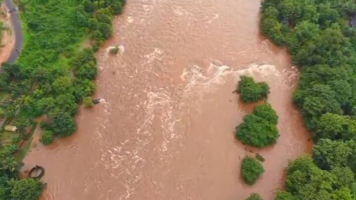 जाणवली आणि गडनदीच्या संगमाचे विहंगम दृश्य ड्रोनच्या माध्यमातून टिपलं असून पाण्याने ओढलेलं गाव दिसत असून निसर्ग सौंदर्याचा हा व्हिडिओ व्हायरल होत आहे.