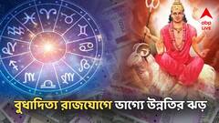 August 2025 Astrology: অগাস্টের শেষেই বুধাদিত্য রাজযোগ, হাত উপচে পড়বে টাকায়, কপালে সম্পত্তি প্রাপ্তি!