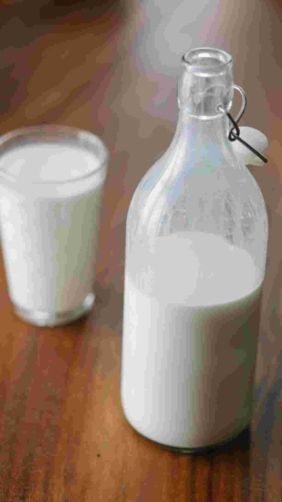 इस जानवर का दूध पीने से होता है नशा