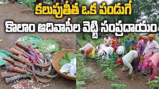 Adilabad Tribals Vetti Festival | కొలాం ఆదివాసీలు ఎక్కడున్నా..ఏడాదిలో ఓసారి ఇలా చేస్తారు | ABP Desam