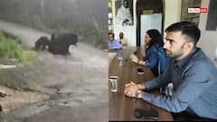 माउंट आबू में भालू के मूवमेंट ने बढ़ाई टेंशन, पर्यटकों में दहशत का माहौल