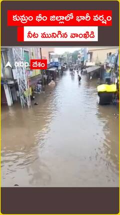 కుమ్రం భీం ఆసిఫాబాద్ జిల్లాలో నీట మునిగిన వాంఖిడి