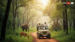 राजस्थान: रणथम्भोर सफारी का रोमांच बना डर… 20 पर्यटक अंधेरे जंगल में फंसे, गाइड ने भी छोड़ा साथ