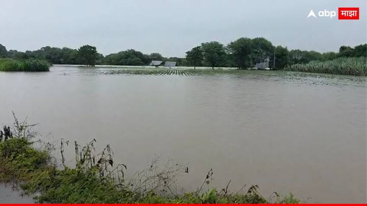 राज्यातील बहुतांश भागात जोरदार पावसाच्या सरी कोसळत आहे.