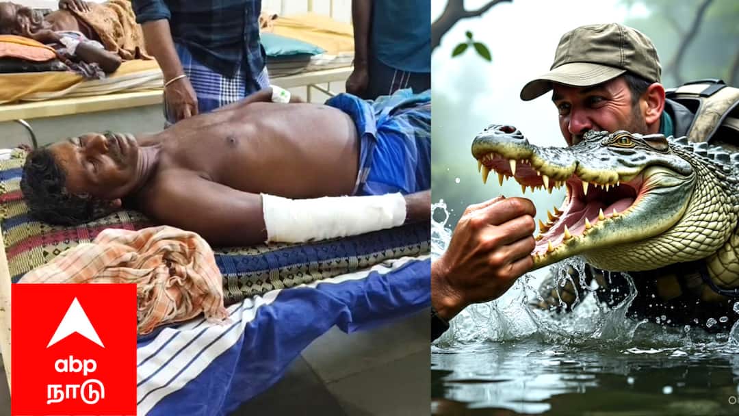 மீனவரை கடித்து குதறிய முதலை - மயிலாடுதுறையில் பயங்கரம்..!