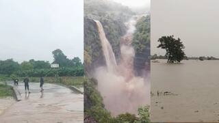 Vidarbha Rain: विदर्भात मुसळधार पावसाचा कहर!धरणांचे दरवाजे उघडले,पूराच्या पाण्यात जनजीवन ठप्प,कुठे काय परिस्थिती?