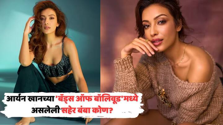 Aryan Khan Web Series: शाहरुख खानचा मुलगा आर्यन खानची 'बॅड्स ऑफ बॉलिवूड' वेब सीरिज लवकरच रिलीज होणार आहे. दिग्दर्शक म्हणून आर्यन खानचा हा पहिलाच प्रोजेक्ट आहे.