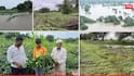 Rain Weather Alert : घाम गाळून उगवलेलं 'हिरवगार' सोनं डोळ्यांदेखत पाण्यात बुडालं, धाराशिवमध्ये पावसाचा हाहा:कार, बळीराजावर संकट