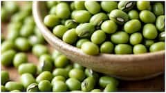 Moong Dal for Better Health : రోజూ పెసలు తింటే ఆరోగ్యానికి ఎంత మంచిదో తెలుసా? అలసట, రక్తహీనతతో పాటు ఎన్నో దూరం