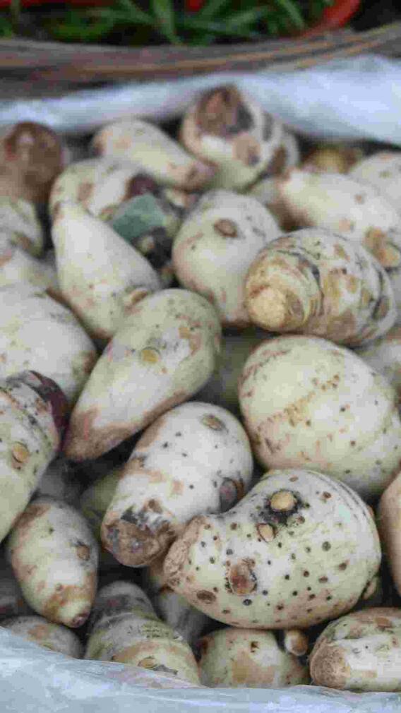 ਅਰਬੀ ਖਾਣ ਦੇ ਹੁੰਦੇ ਗਜਬ ਦੇ ਫਾਇਦੇ