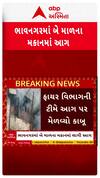 Bhavnagar Home Fire: ભાવગનરમાં 2 માળના મકાનમાં ફાટી નીકળી આગ