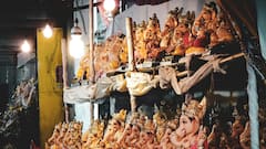 गणेशोत्सवात पर्यावरणपूरक मूर्ती का निवडावी?