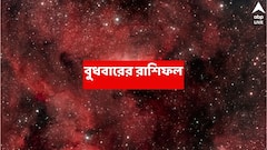 লাভের খাতা খুলছে, অর্থ-ব্যবস্থা ঘুরে দাঁড়াচ্ছে এই রাশির, মসৃণ হচ্ছে কেরিয়ার