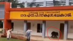 On Cam: Baby Elephant Calf Wanders Into Wayanad School, Delights Children