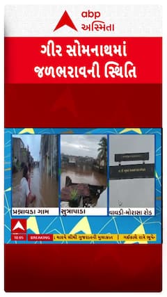 Gir Somnath Rain: ગીર સોમનાથ જિલ્લામાં ભારે વરસાદ બાદ અને જગ્યાએ જળભરાવની સ્થિતિ