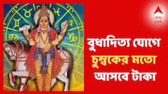 ভাদ্র মাসের অমাবস্যার দিনেই বুধাদিত্য যোগ, চুম্বকের মতো আসবে টাকা, ভাগ্যে বড় দৌড়