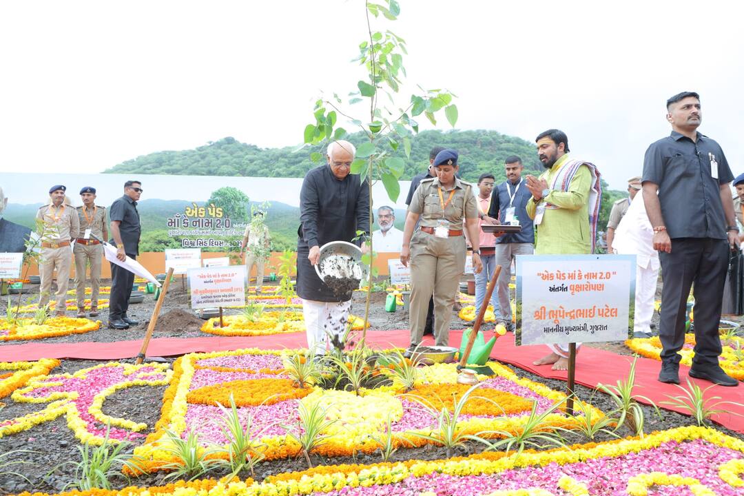 ગુજરાત દેશમાં ત્રીજા ક્રમે, અત્યાર સુધીમાં કુલ 62 કરોડથી વધુ વૃક્ષો વાવીને બનાવ્યો રેકોર્ડ Gujarat ranks third in the country, creating a record by planting a total of more than 62 crore trees so far ગુજરાત દેશમાં ત્રીજા ક્રમે, અત્યાર સુધીમાં કુલ 62 કરોડથી વધુ વૃક્ષો વાવીને બનાવ્યો રેકોર્ડ